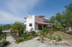 Hotels in Avia